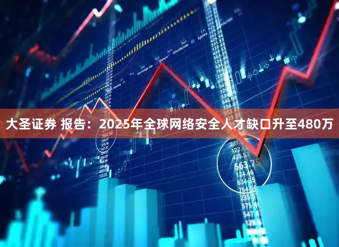 大圣证券 报告：2025年全球网络安全人才缺口升至480万